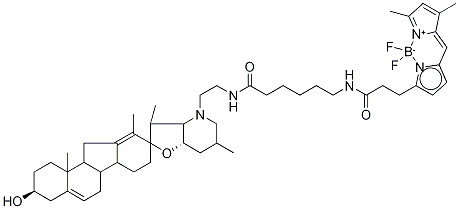 腎上腺素環(huán)杷明