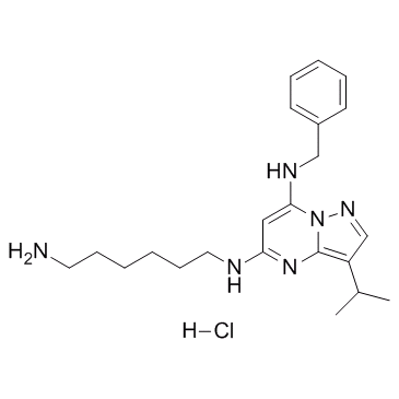 BS-181 (hydrochloride)